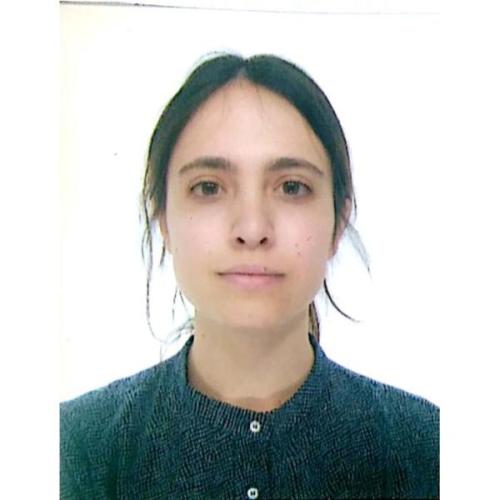 Pilar  Bravo de Lallana